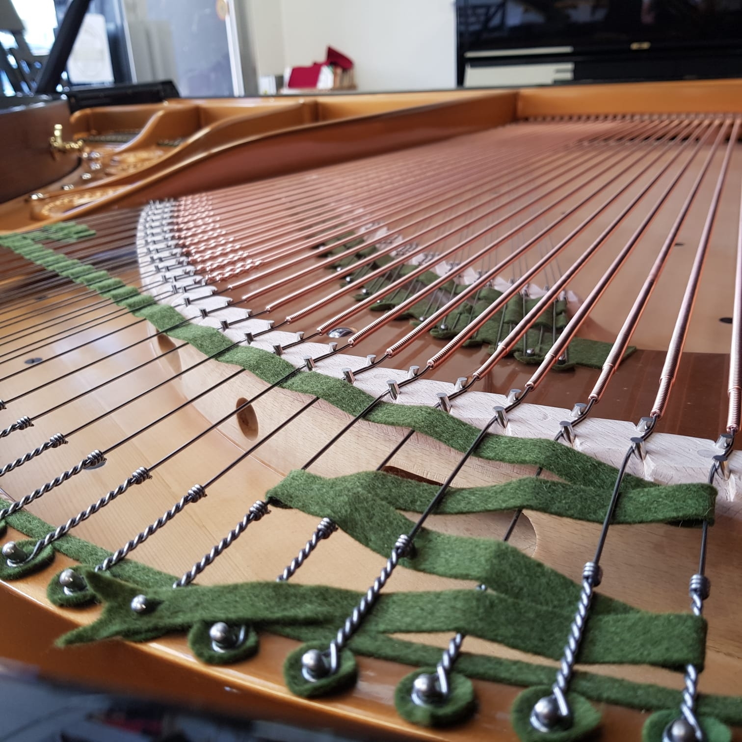 Bechstein model V