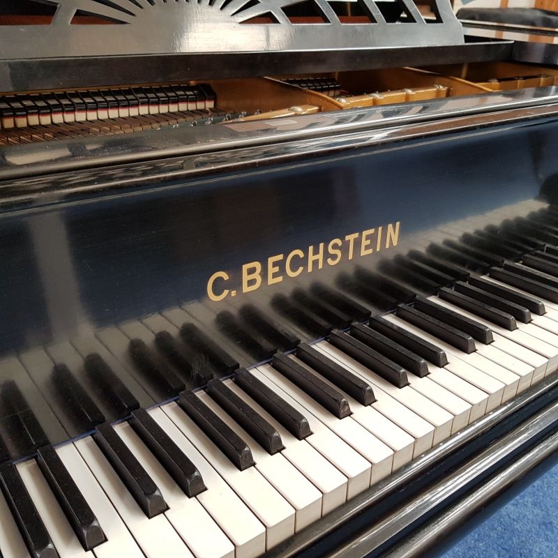 Bechstein B