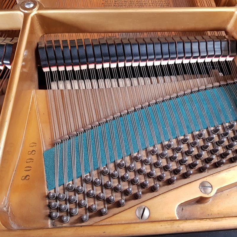 Bechstein B