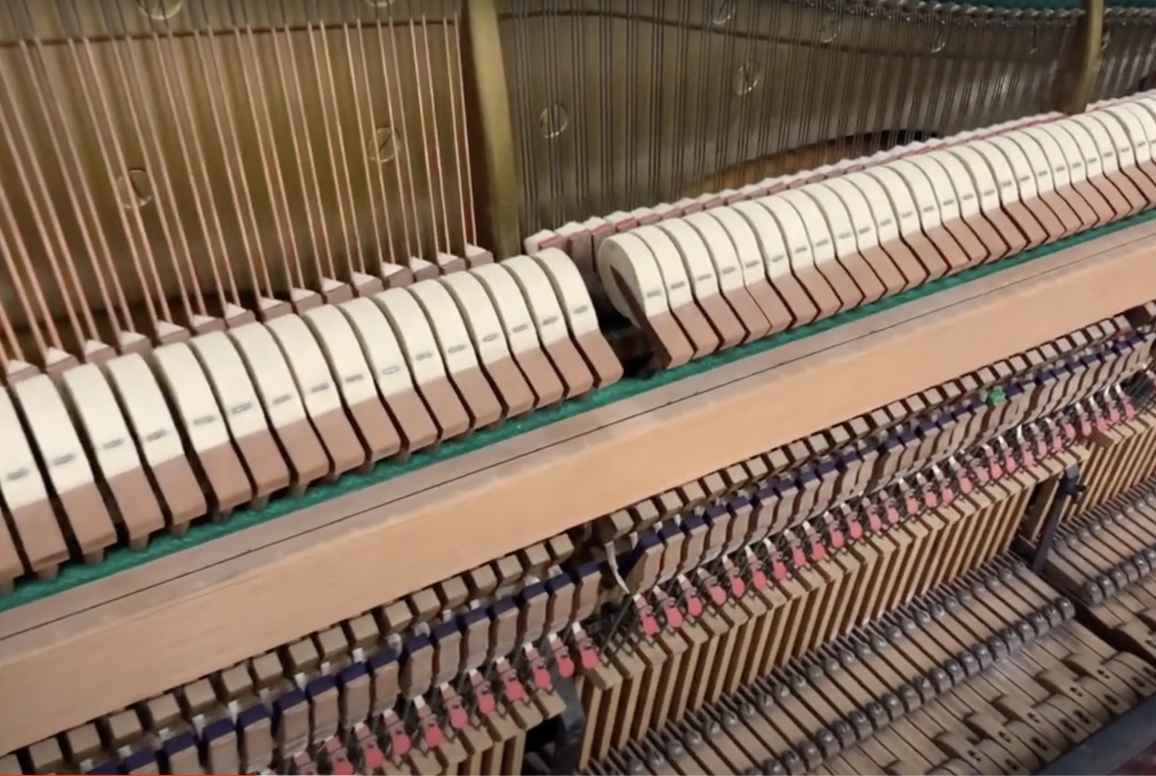 Bechstein V
