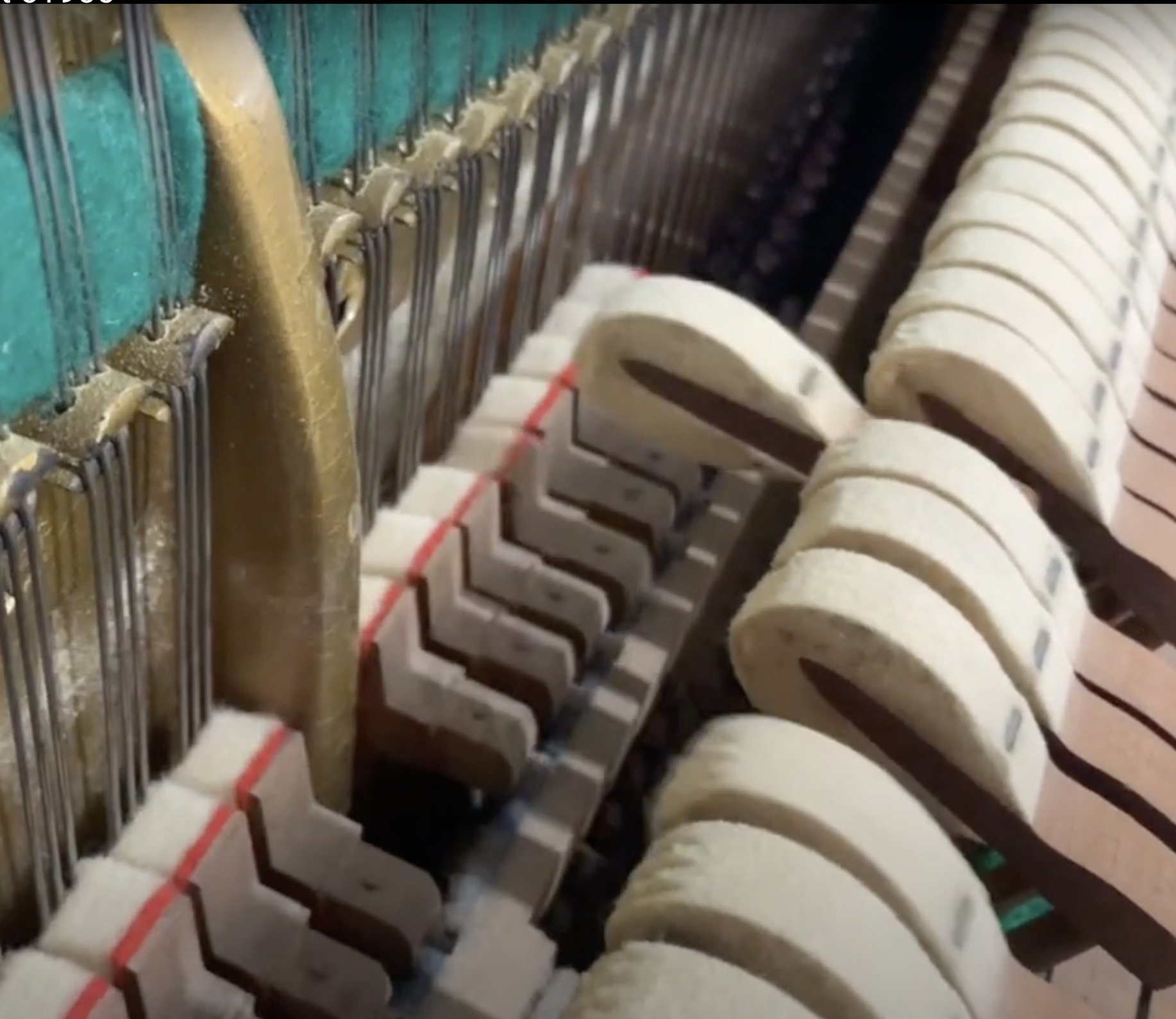 Bechstein V