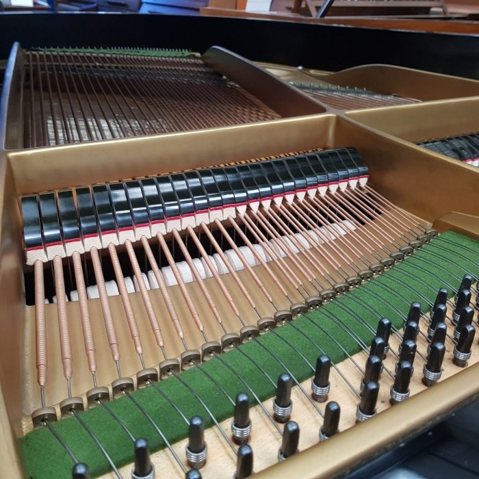 Bechstein model M