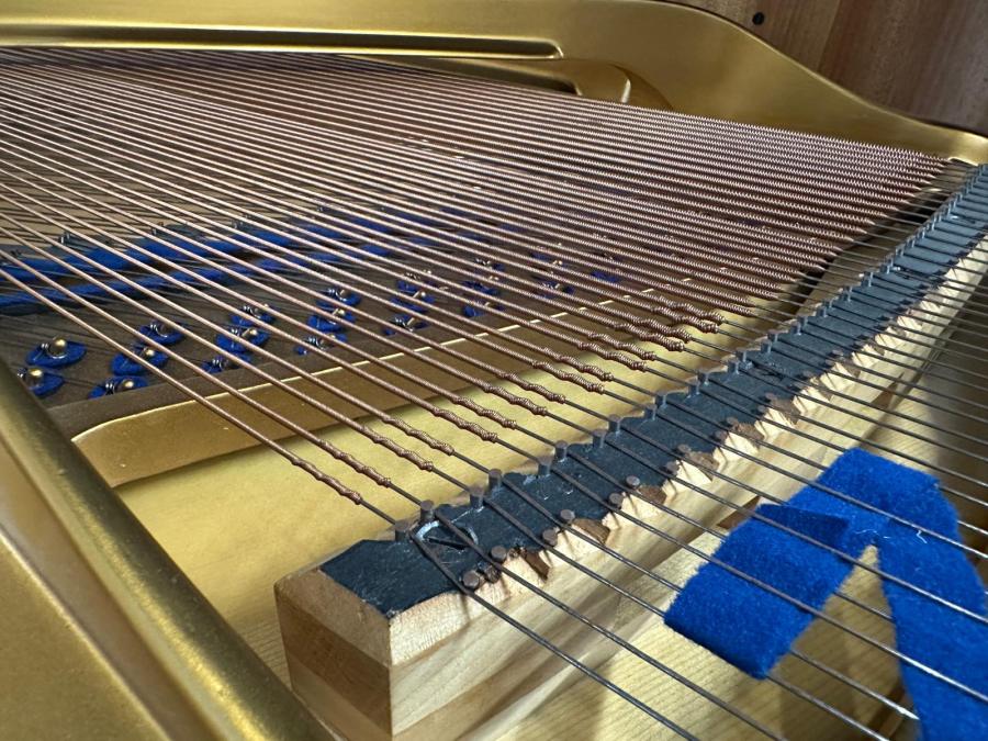 Bluthner Style IV grand Piano in Walnut – Gallery image – Roberts Pianos Oxford