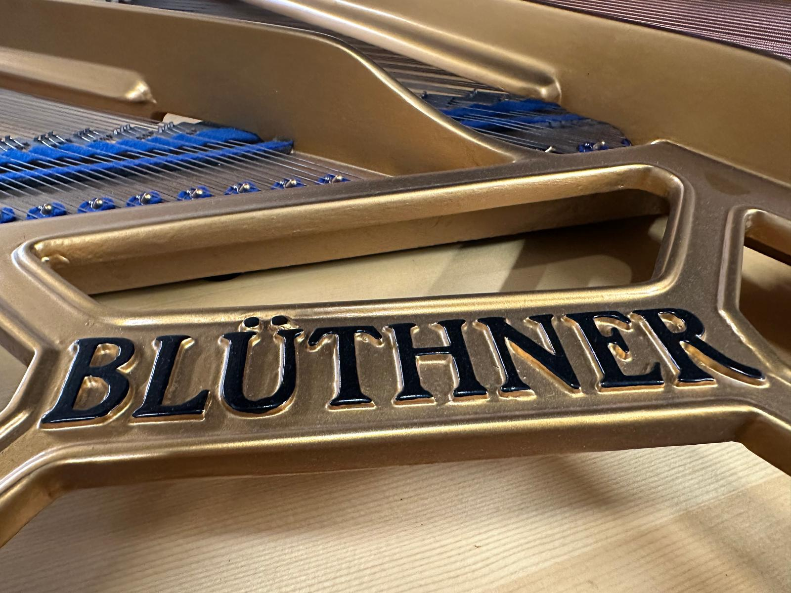 Bluthner Style IV