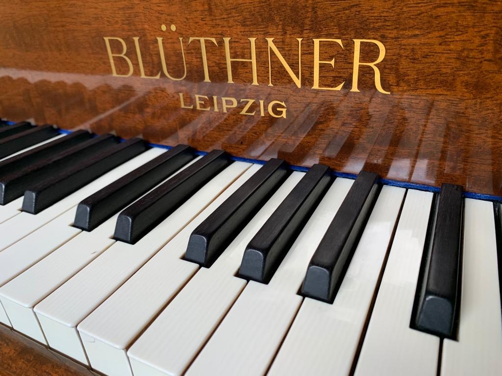 Bluthner IV