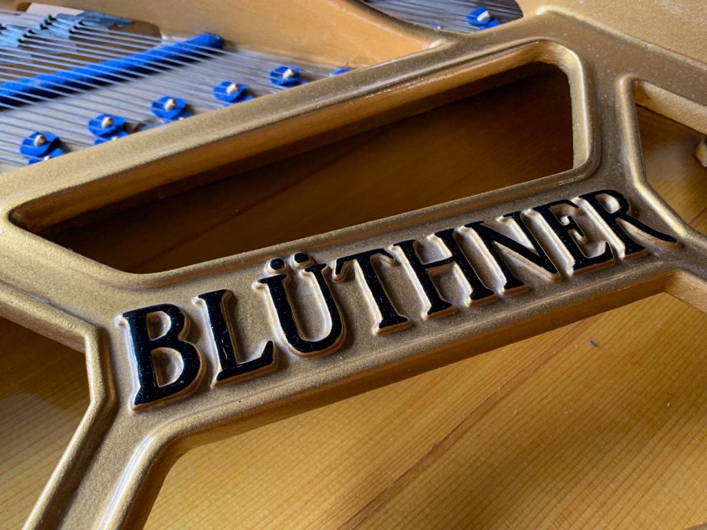 Bluthner IV