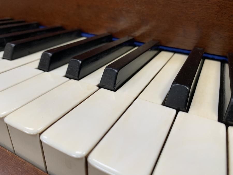Bluthner Style IV grand Piano in satin mahogany – Gallery image – Roberts Pianos Oxford