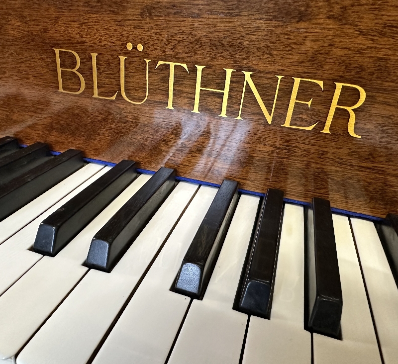 Bluthner IV