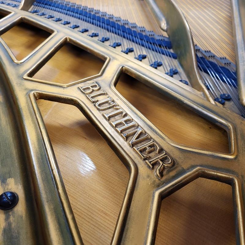 Bluthner style IVa grand Piano in walnut – Gallery image – Roberts Pianos Oxford