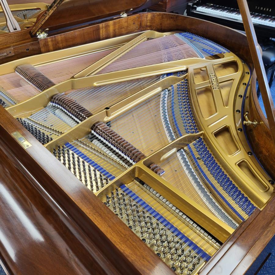 Bluthner style IVa grand Piano in walnut – Gallery image – Roberts Pianos Oxford