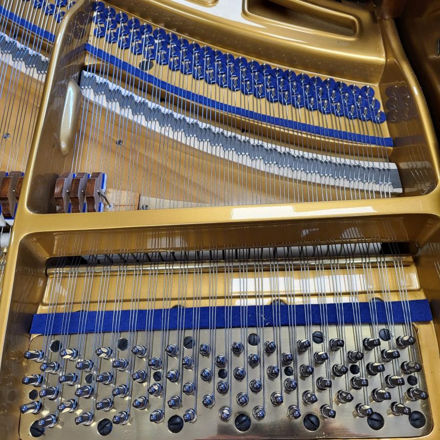 Bluthner style IVa grand Piano in walnut – Gallery image – Roberts Pianos Oxford