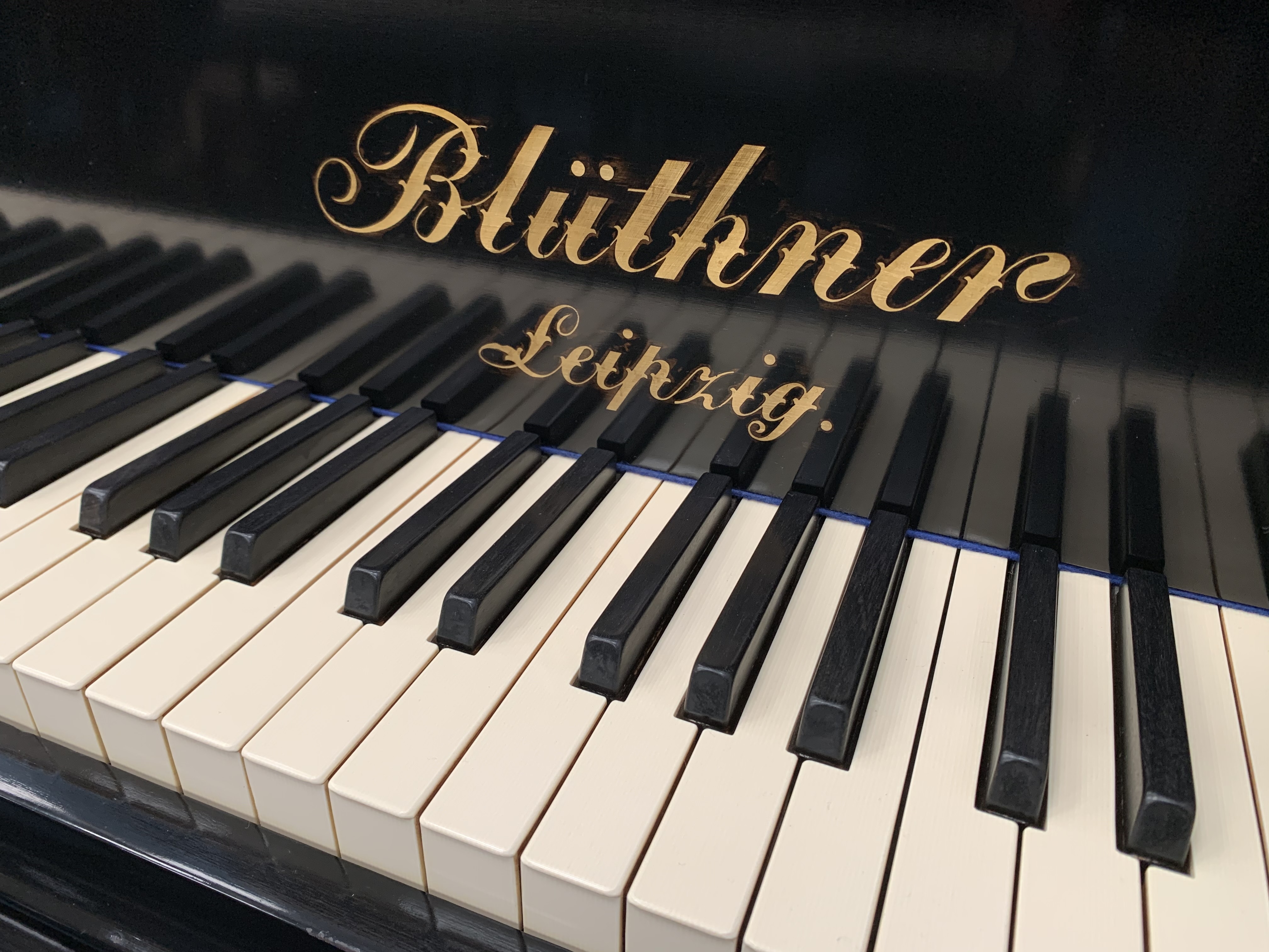 Bluthner style VI