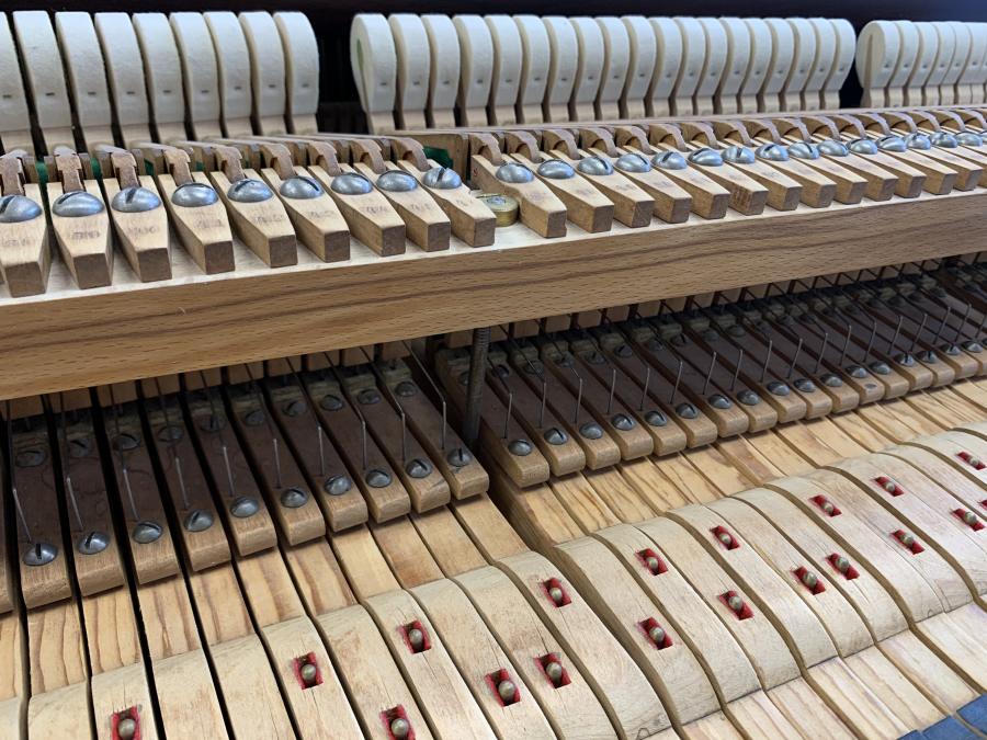 Bluthner VIII grand Piano in Rosewood – Gallery image – Roberts Pianos Oxford