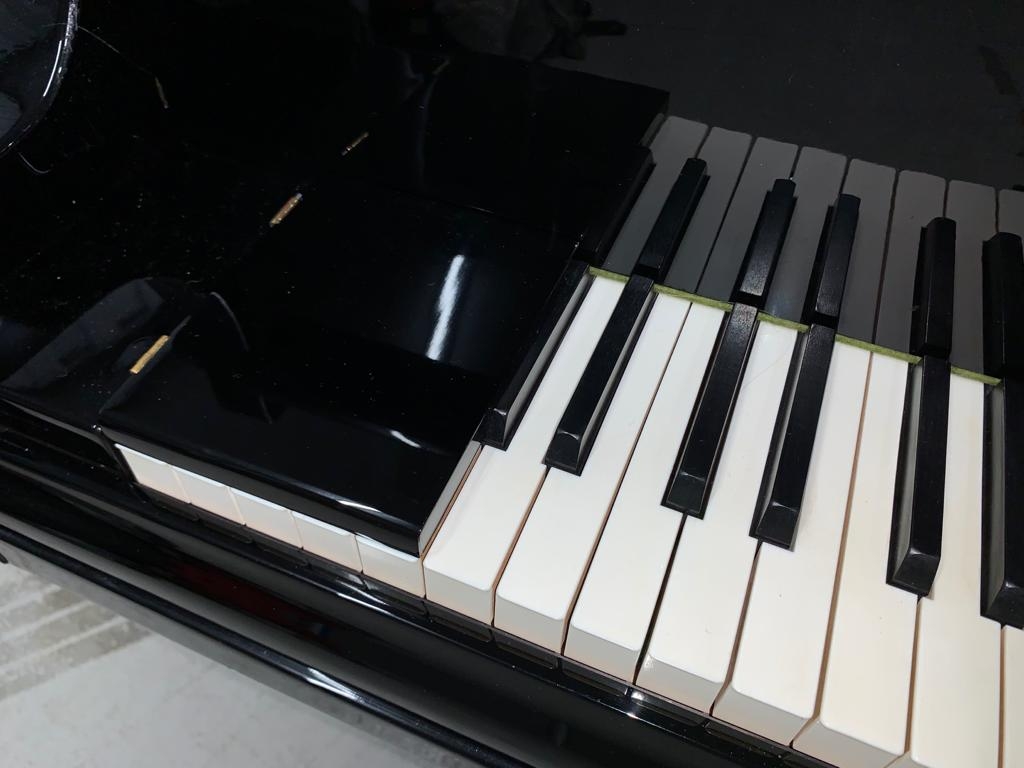 Bosendorfer Imperial