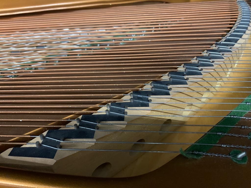 Bosendorfer 190