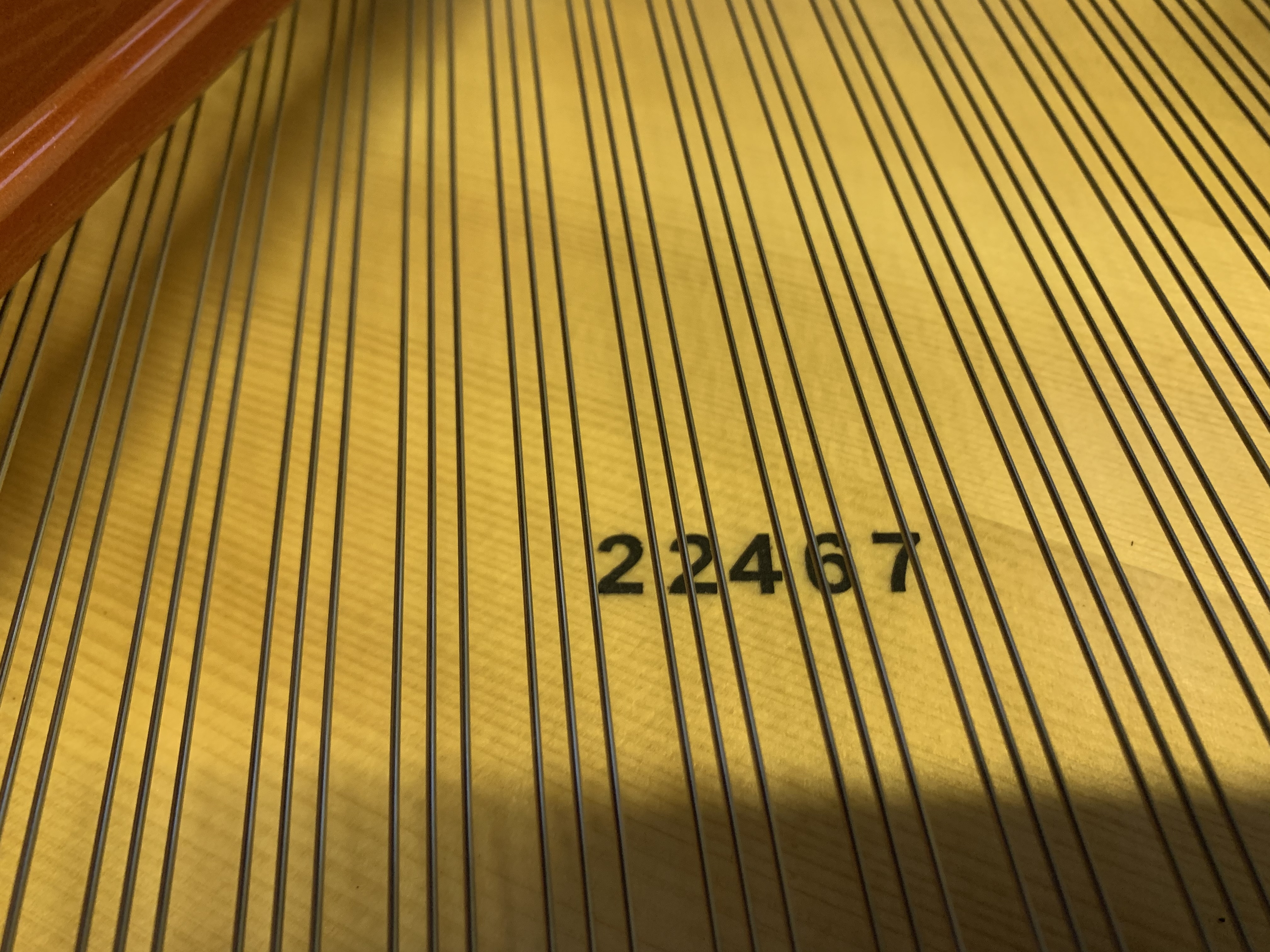 Bosendorfer 170