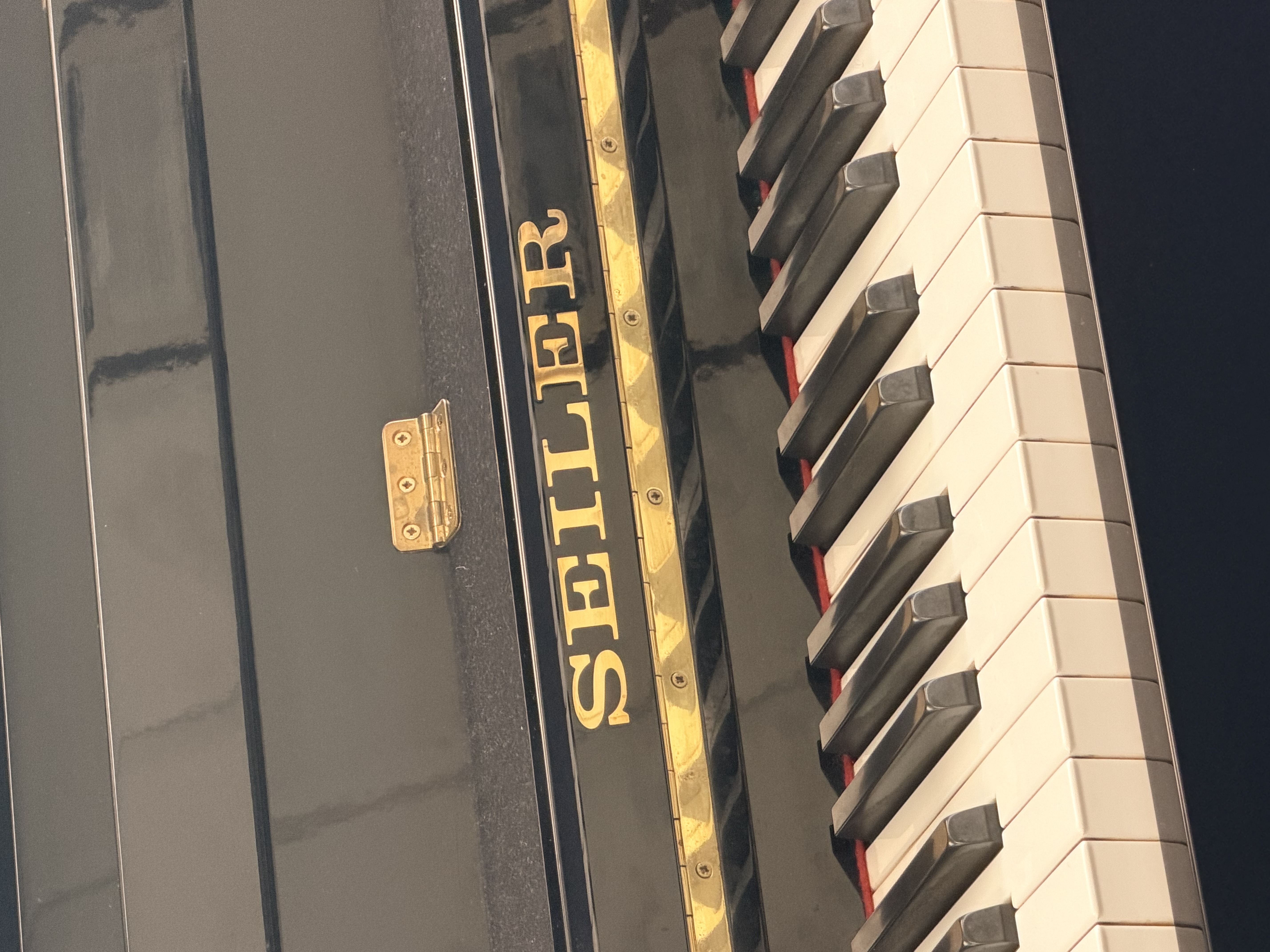Seiler 116