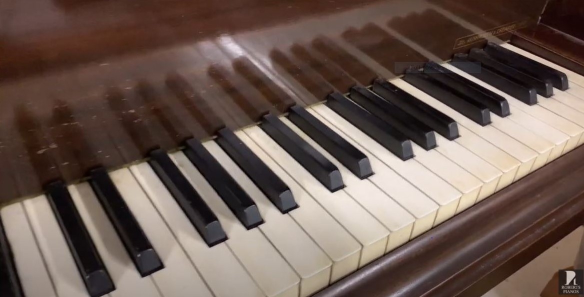 Bechstein S