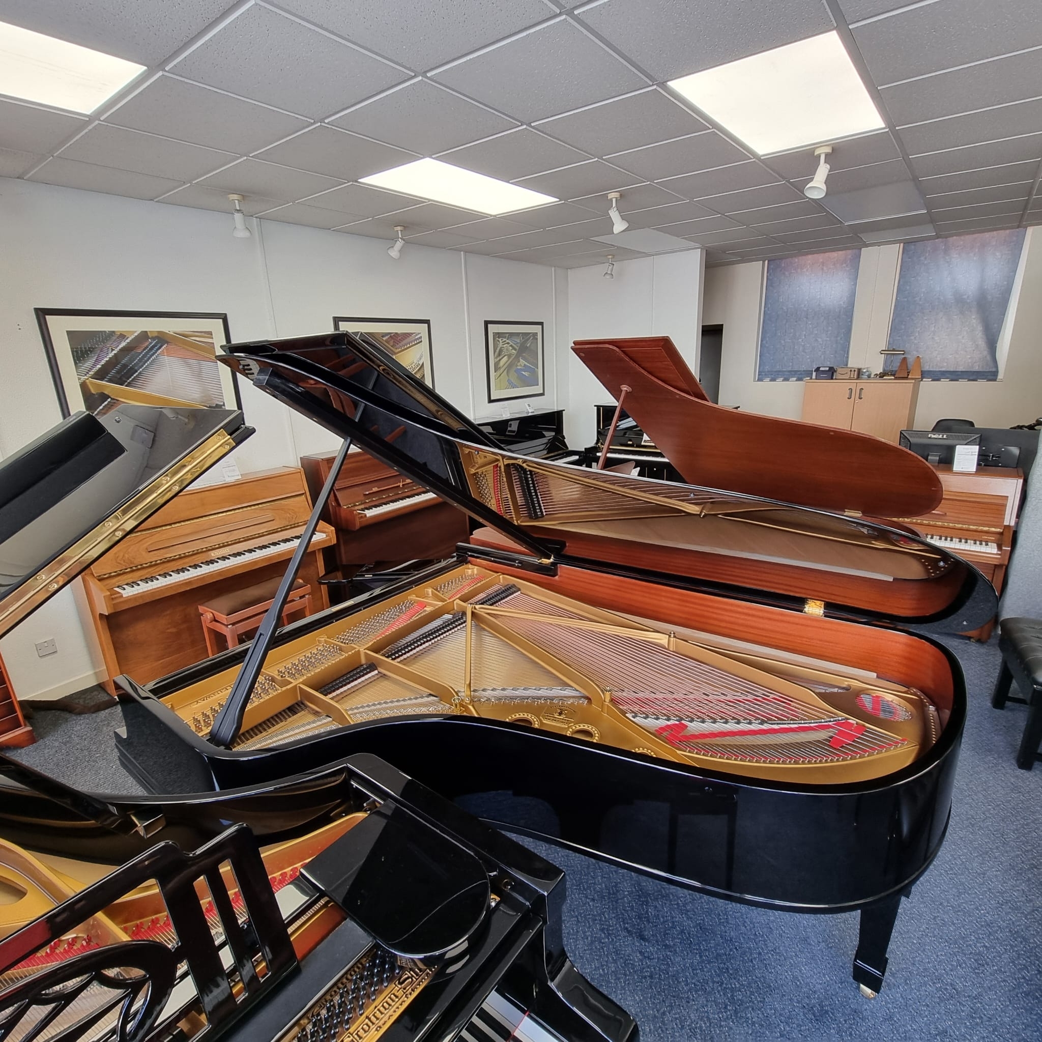 Steinway B
