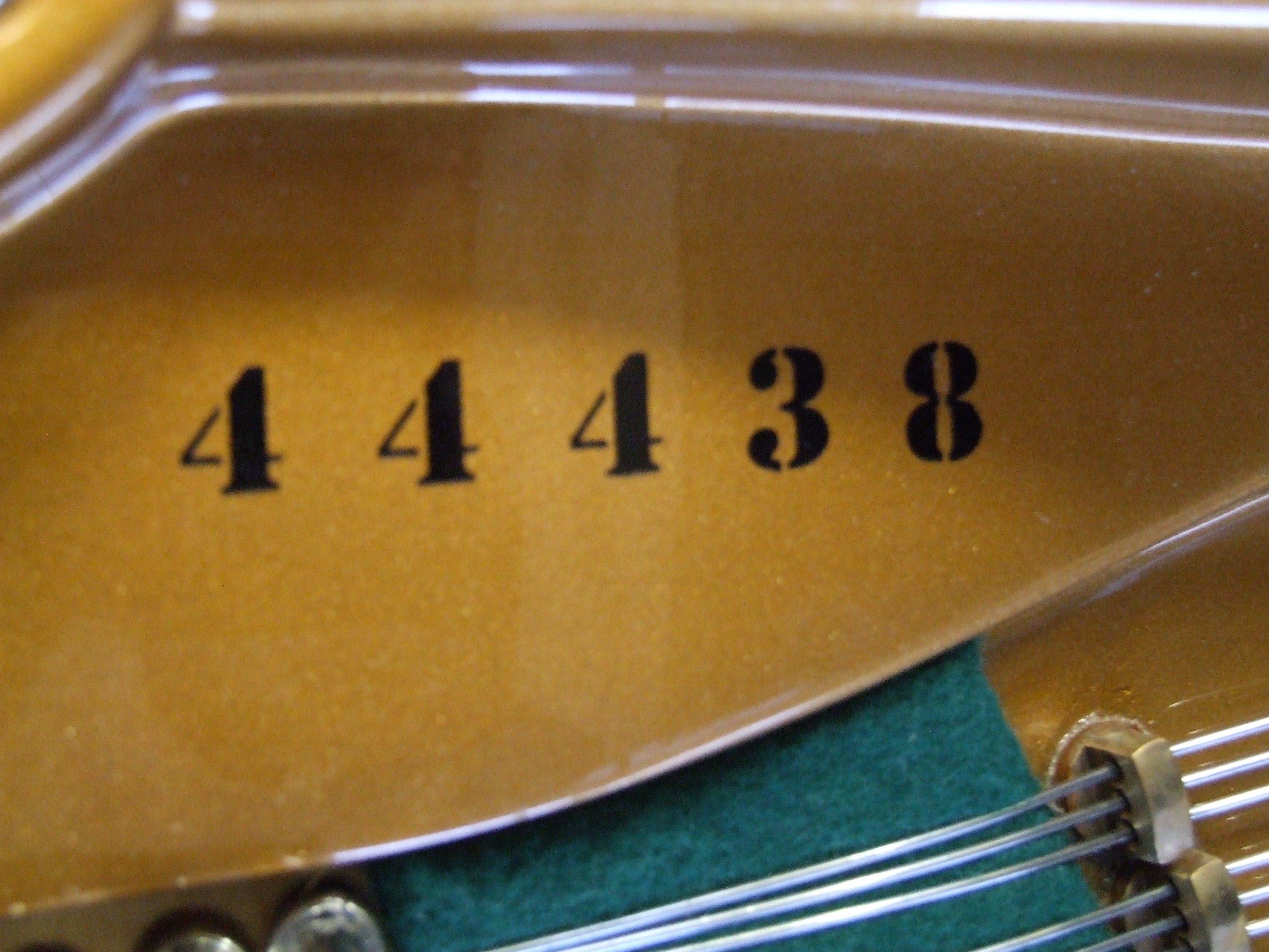 Bechstein V