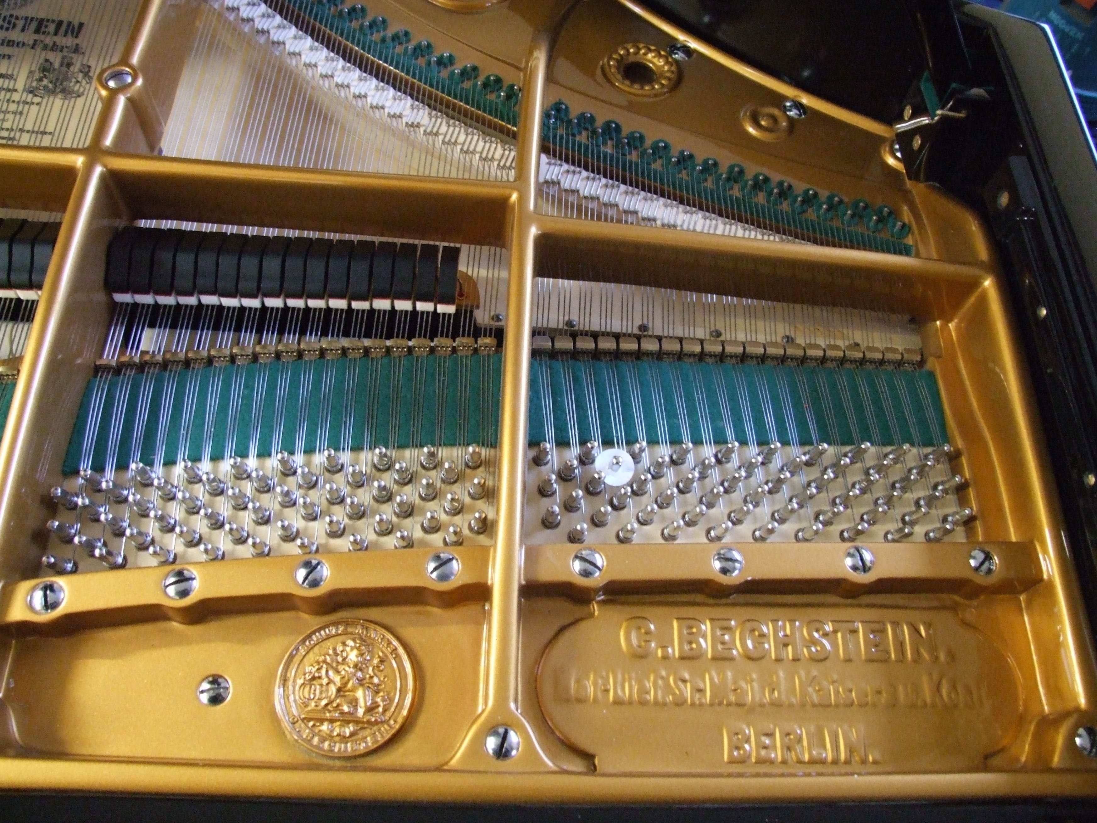 Bechstein V