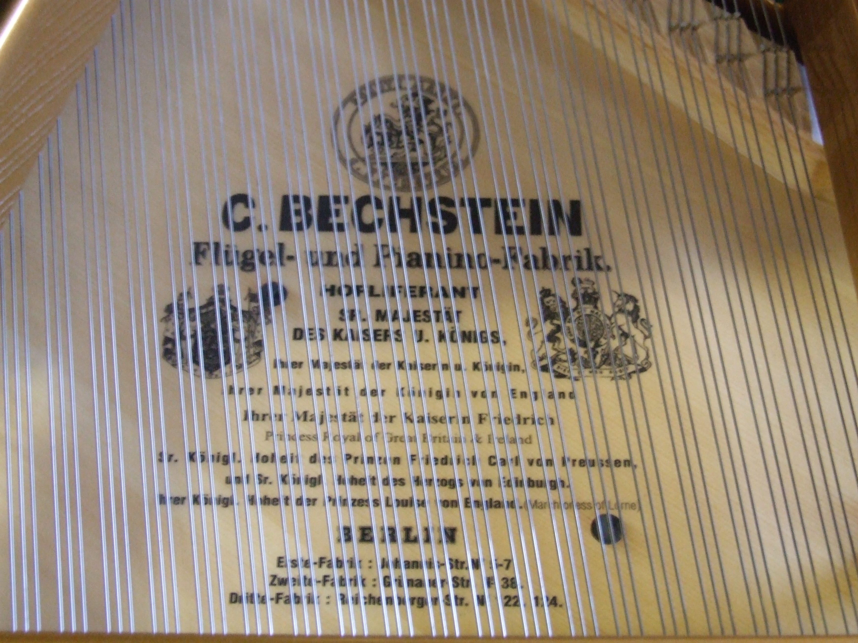 Bechstein V