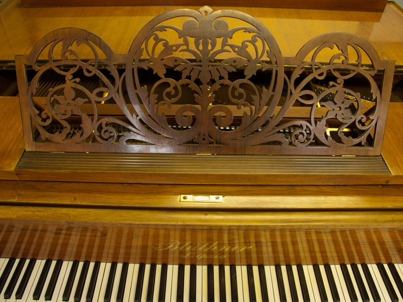 Bluthner VIII   Aliquot