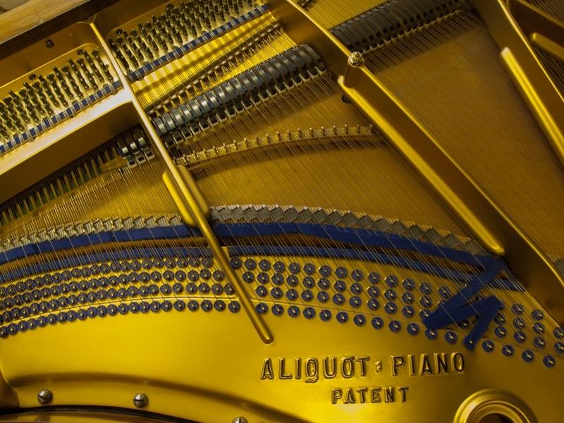 Bluthner VIII Aliquot grand Piano in Rosewood – Gallery image – Roberts Pianos Oxford