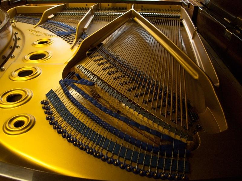 Bluthner VIII Aliquot grand Piano in Rosewood – Gallery image – Roberts Pianos Oxford