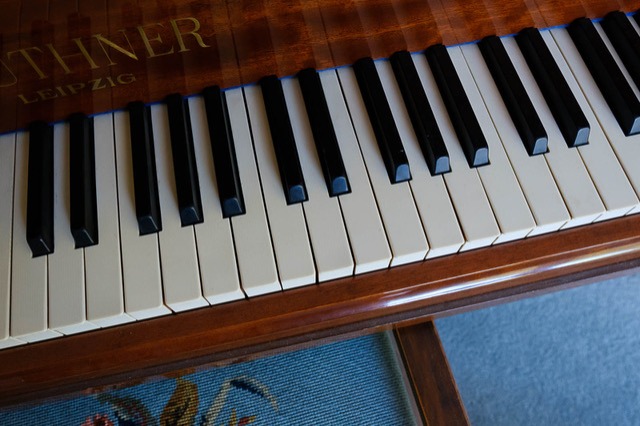 Bluthner IV Grand Piano in Black Gloss – Gallery image – Roberts Pianos Oxford