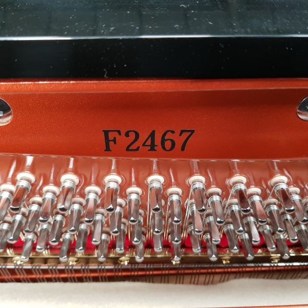 Feurich 125