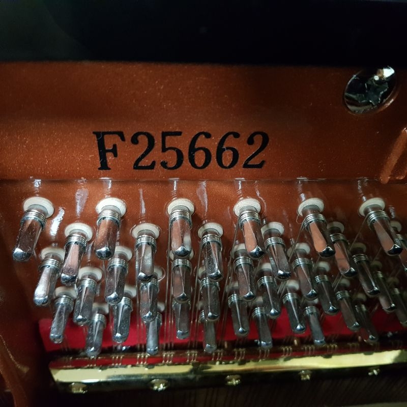 Feurich 133