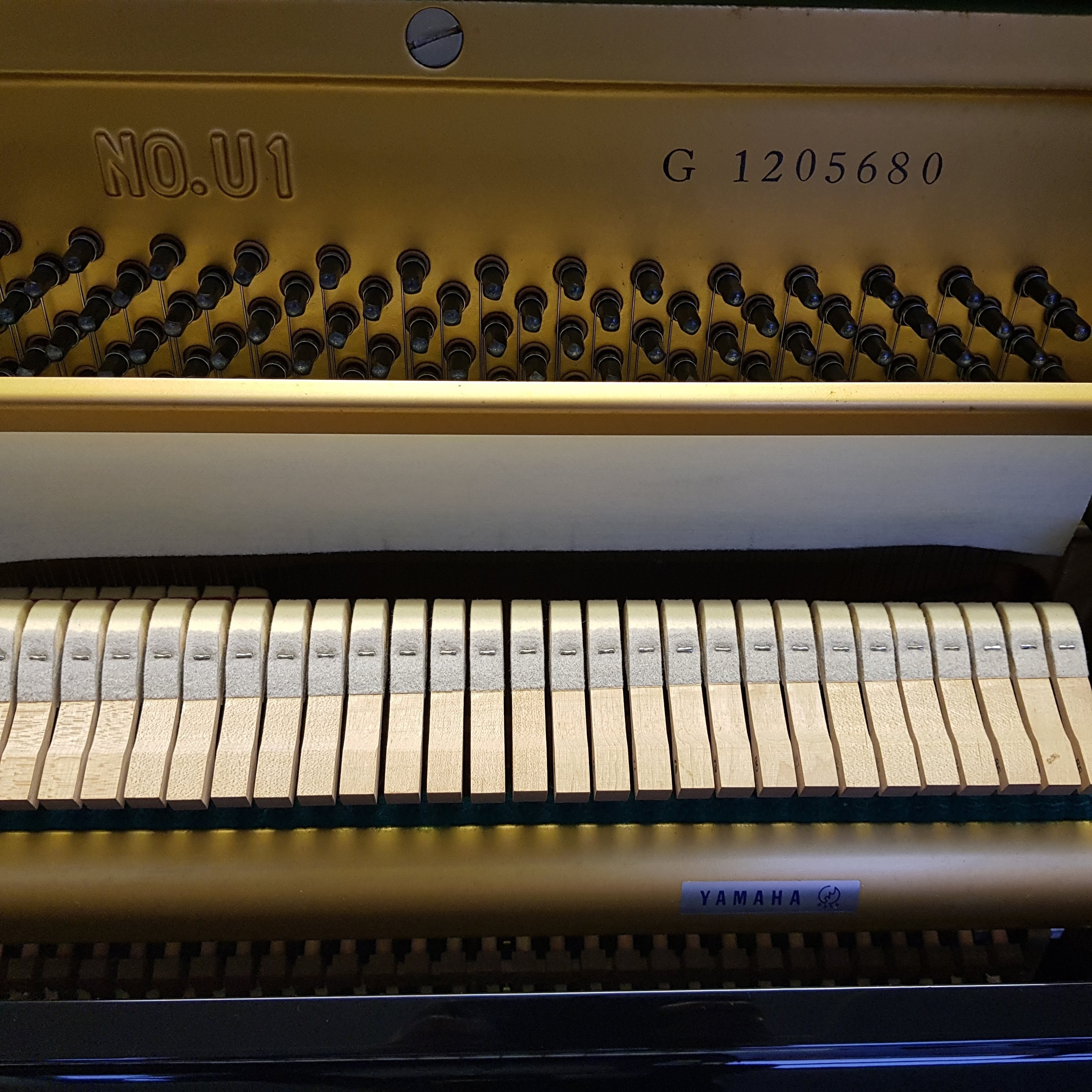 Yamaha U1G