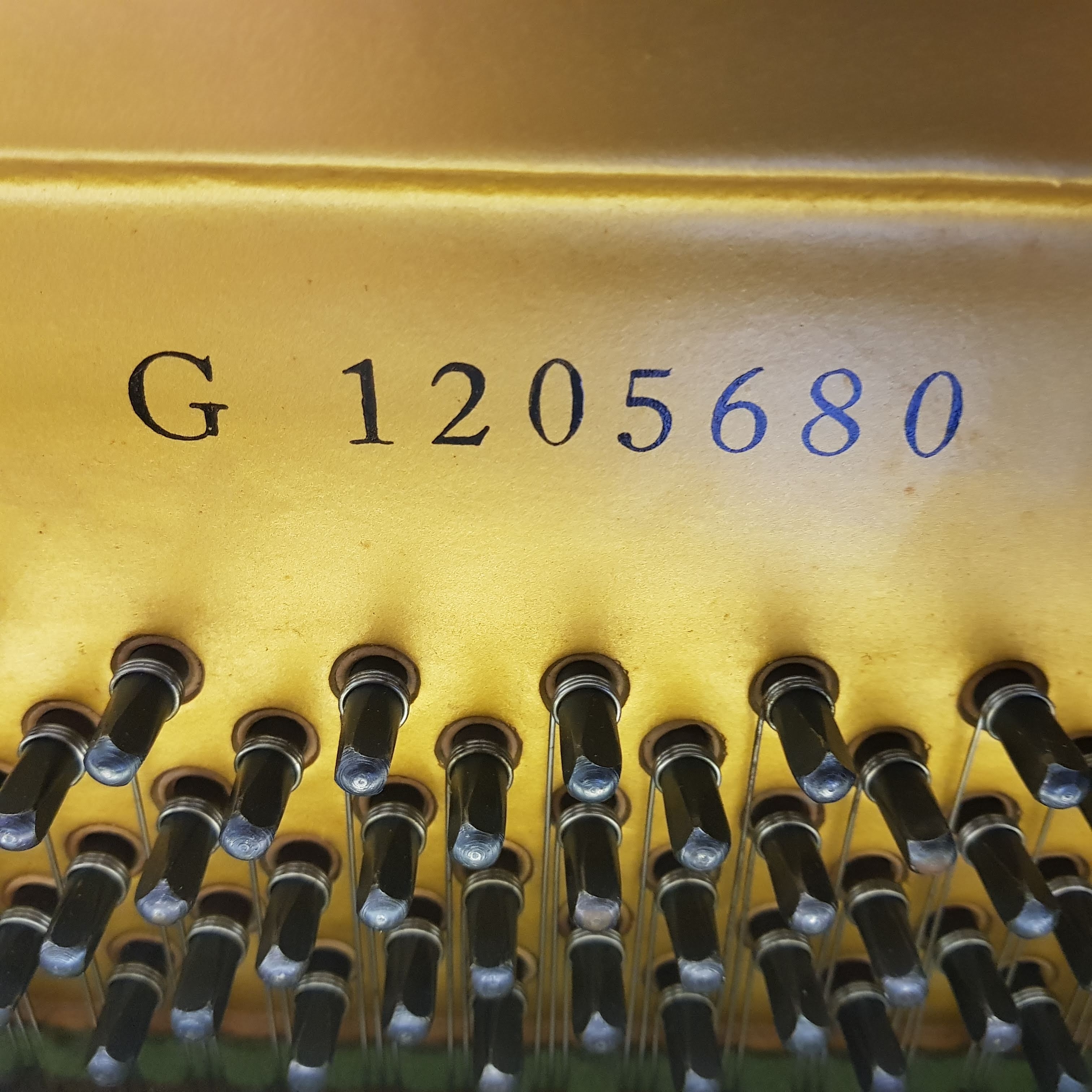 Yamaha U1G