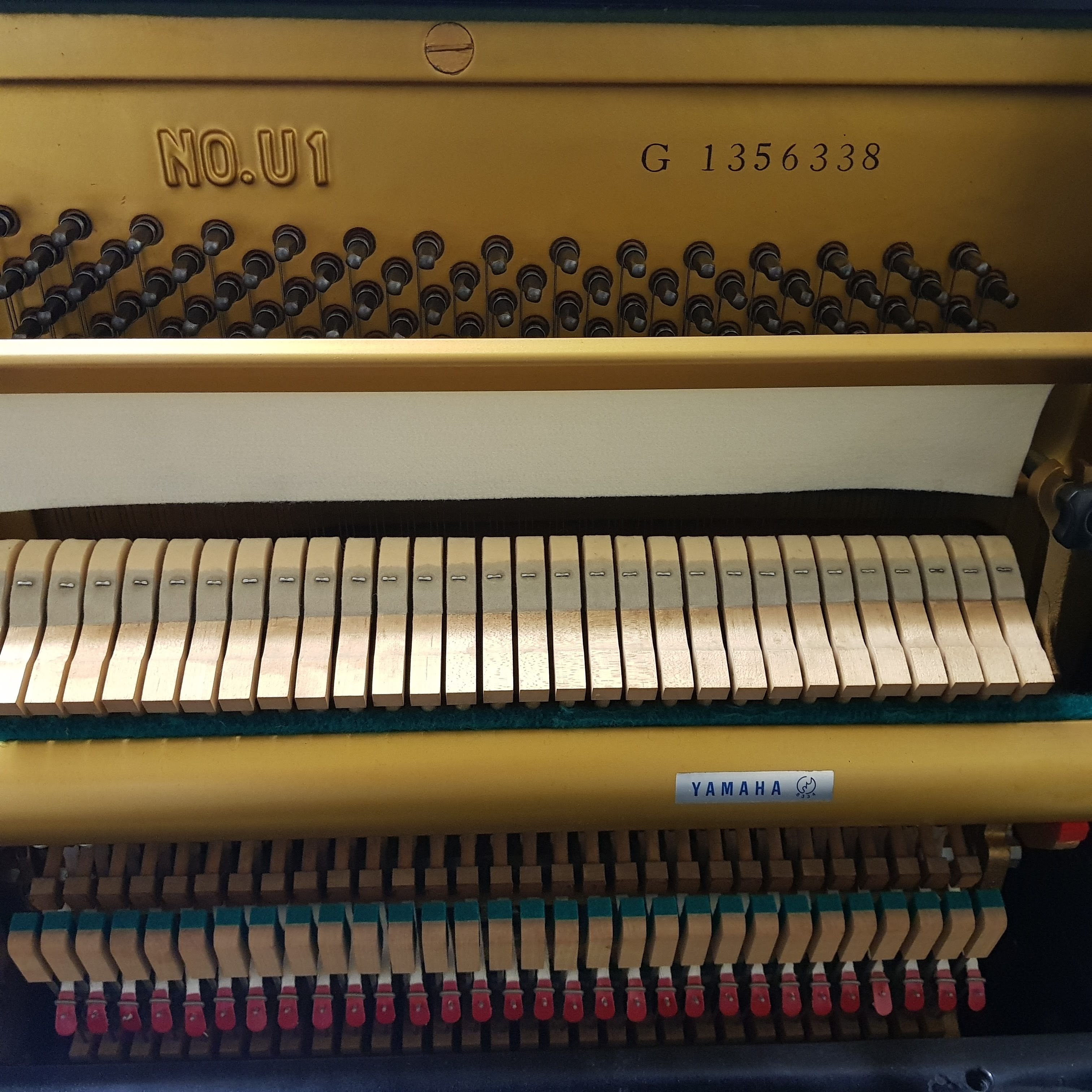 Yamaha U1G