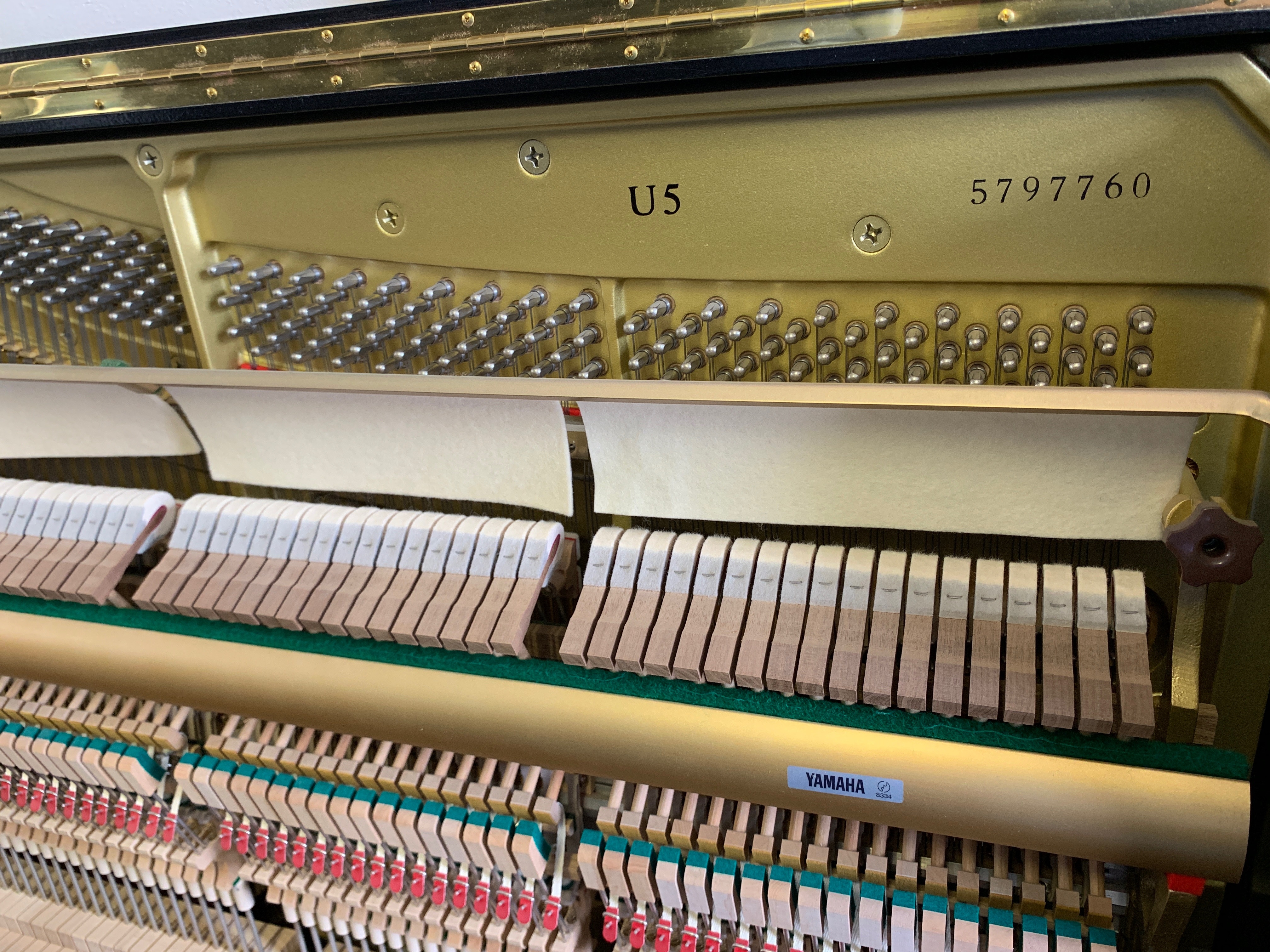 Yamaha U5
