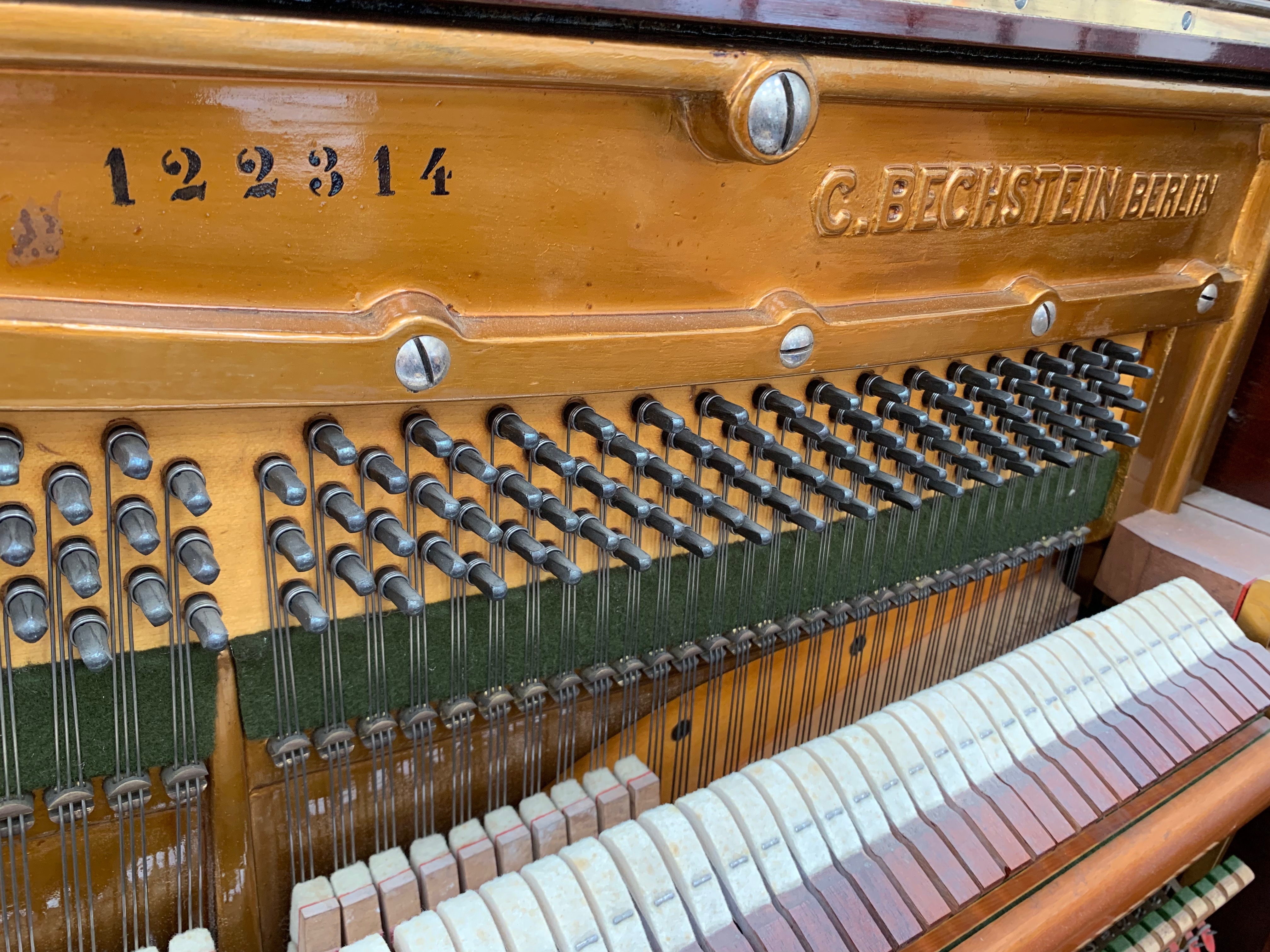 Bechstein 7