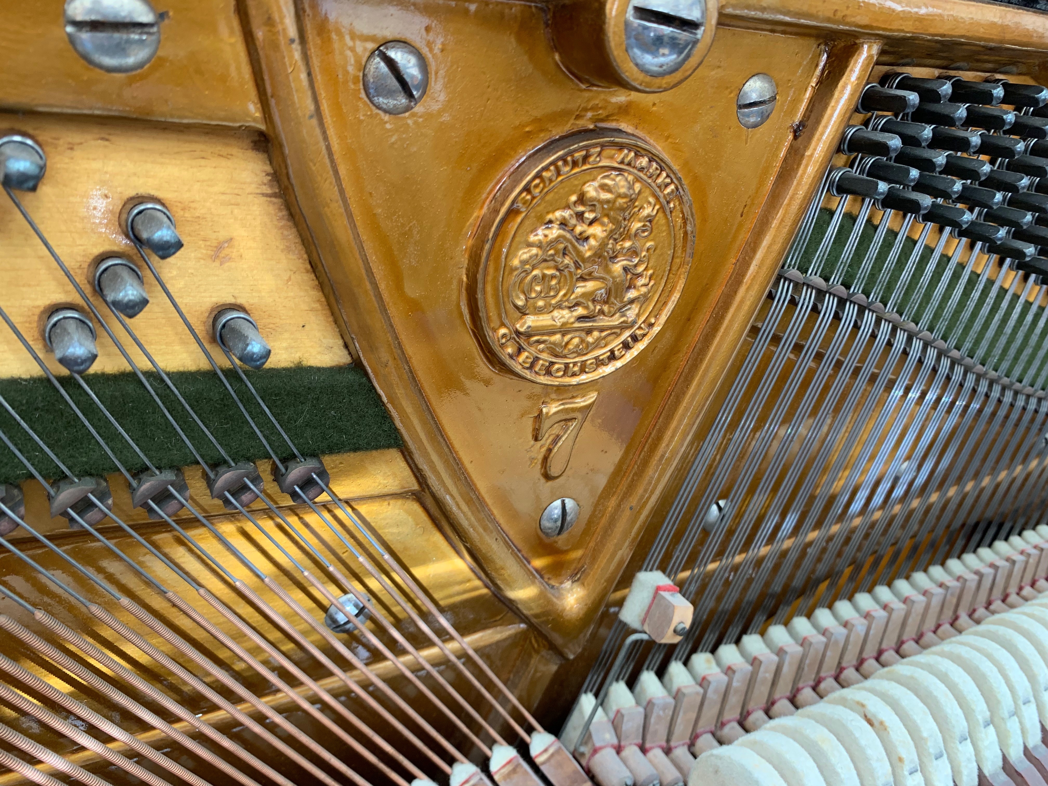 Bechstein 7