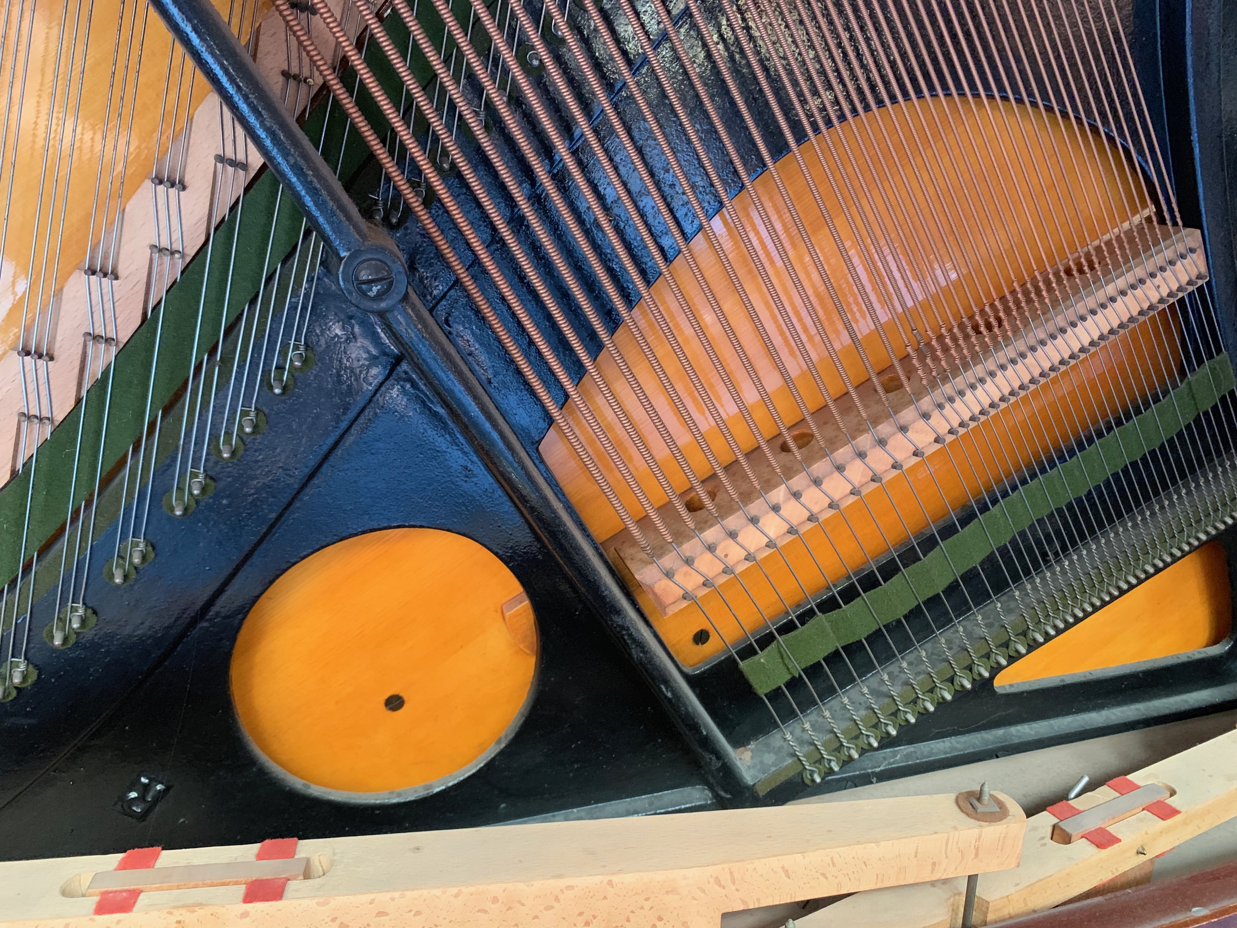 Bechstein 7
