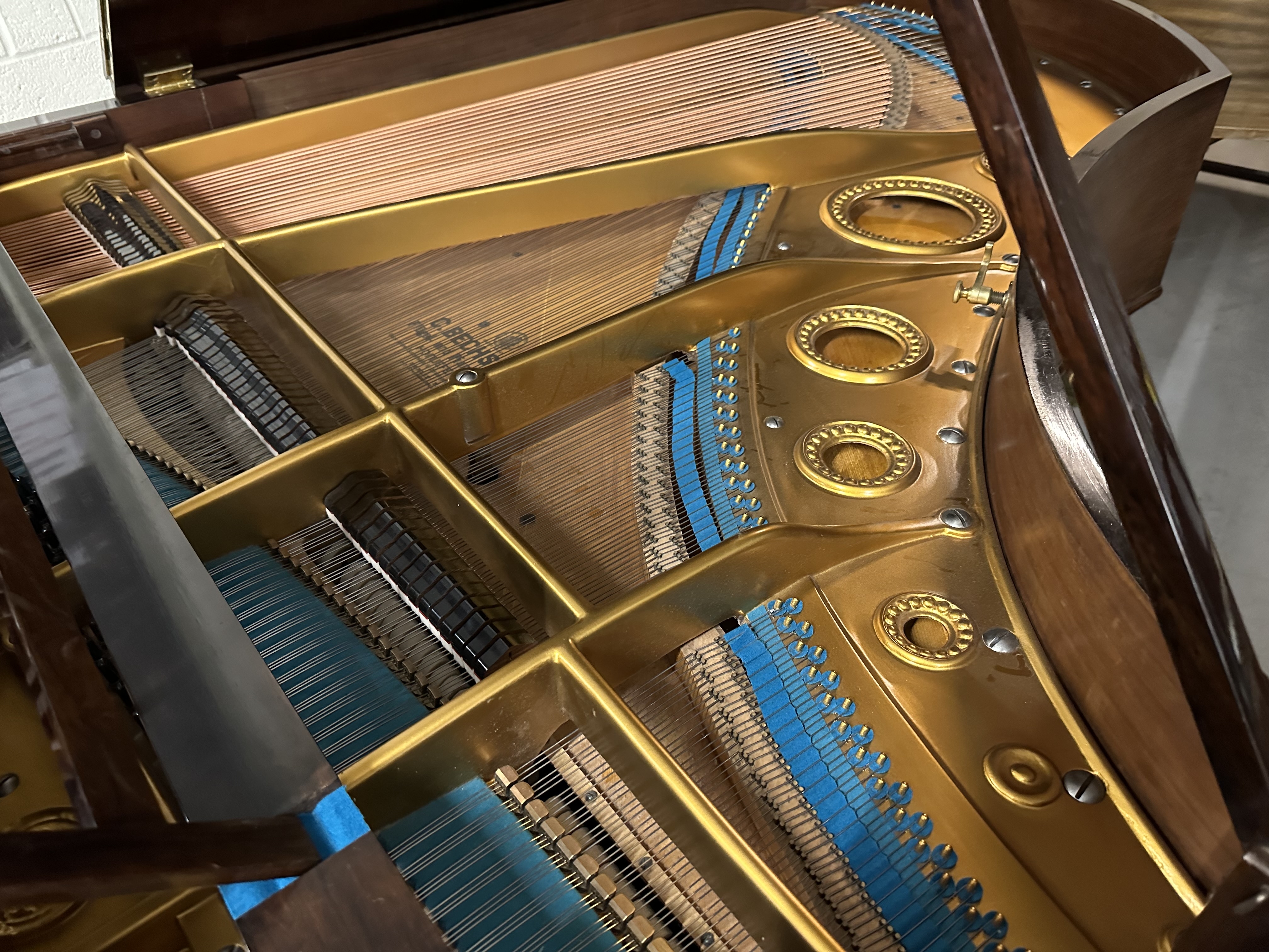 Bechstein V