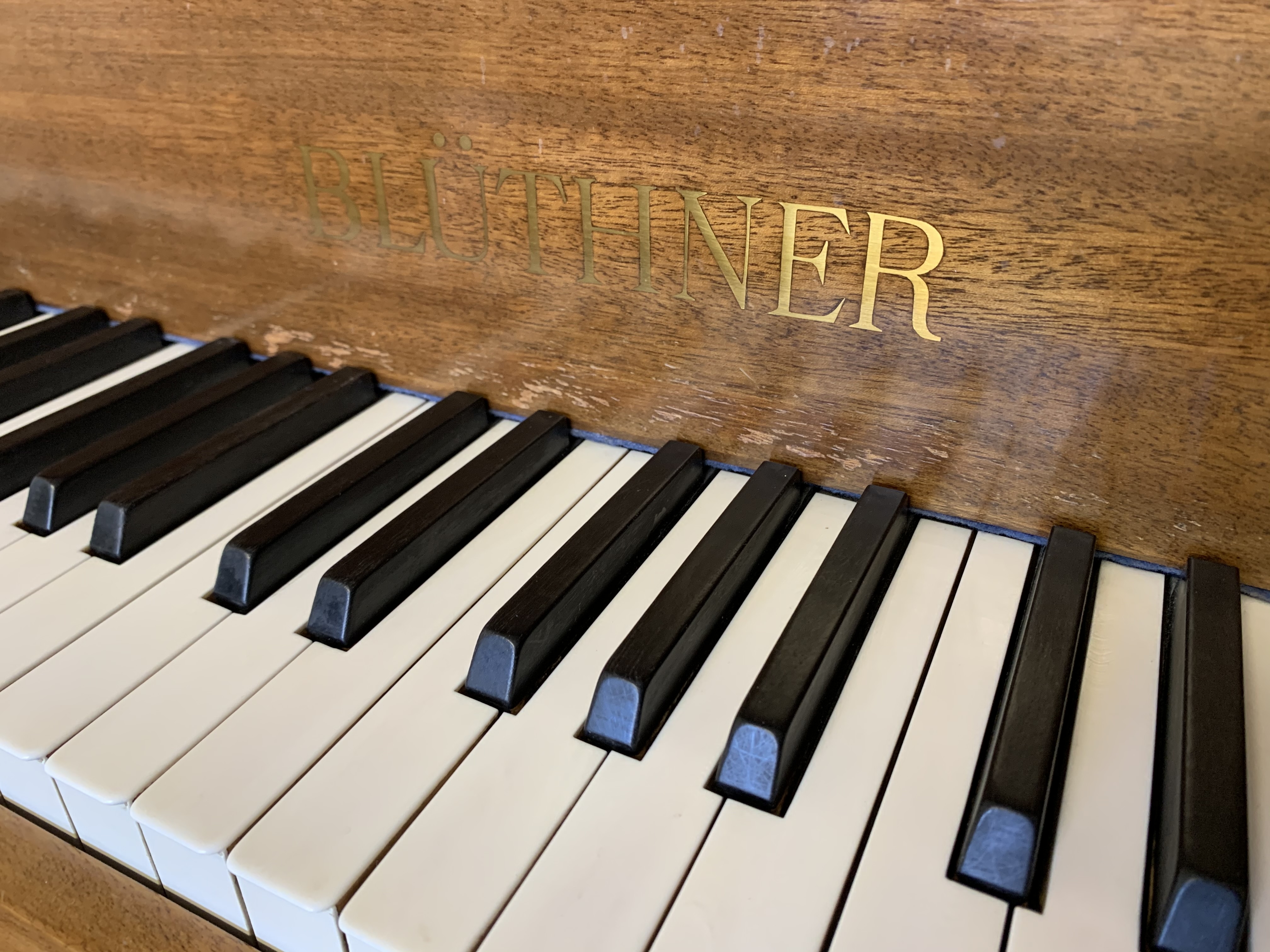 Bluthner lV