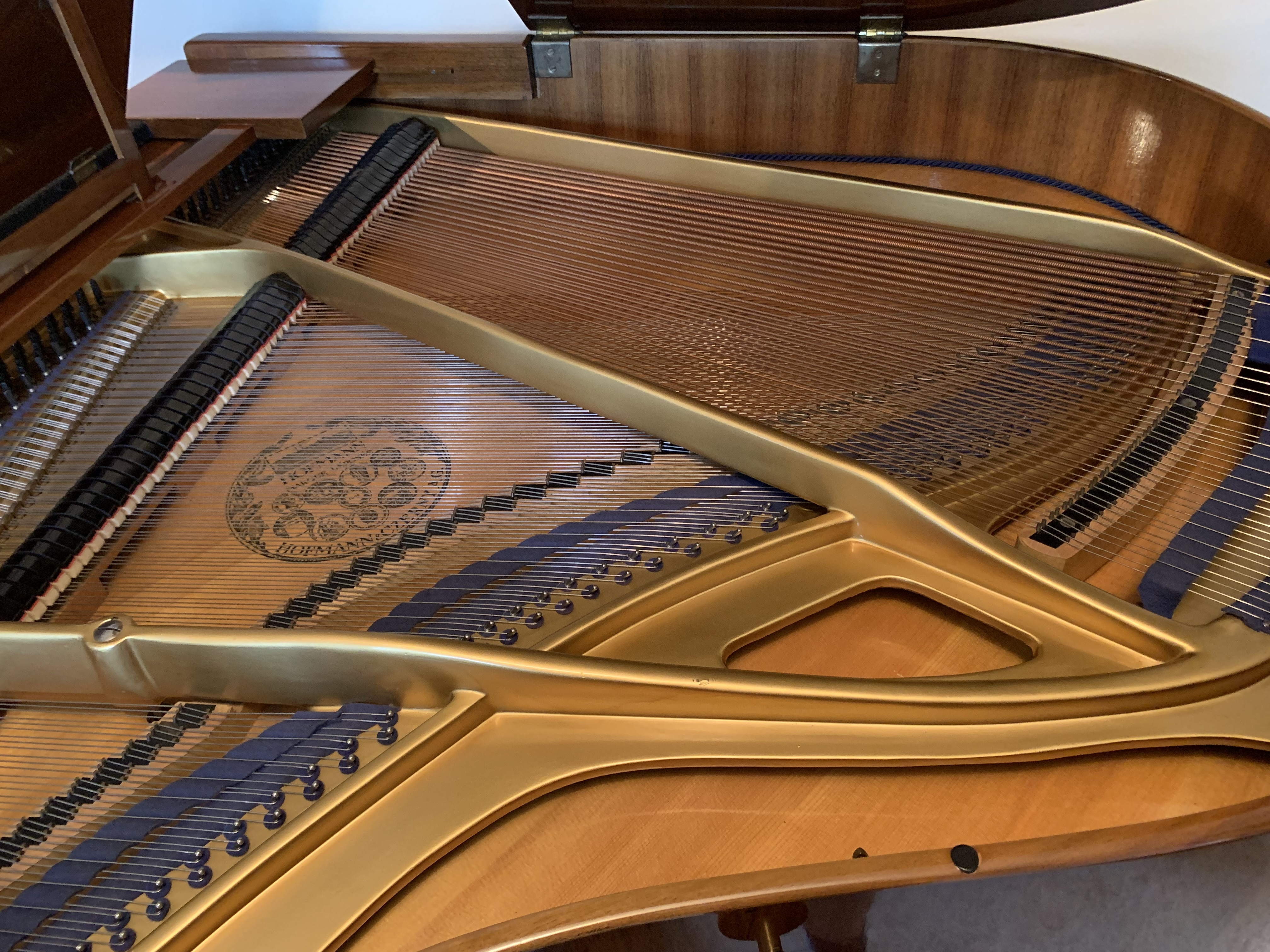 Hofmann & Czerny 150 grand Piano in bright walnut – Gallery image – Roberts Pianos Oxford