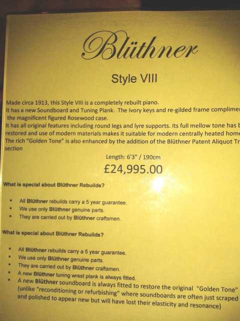 Bluthner VIII  (8)