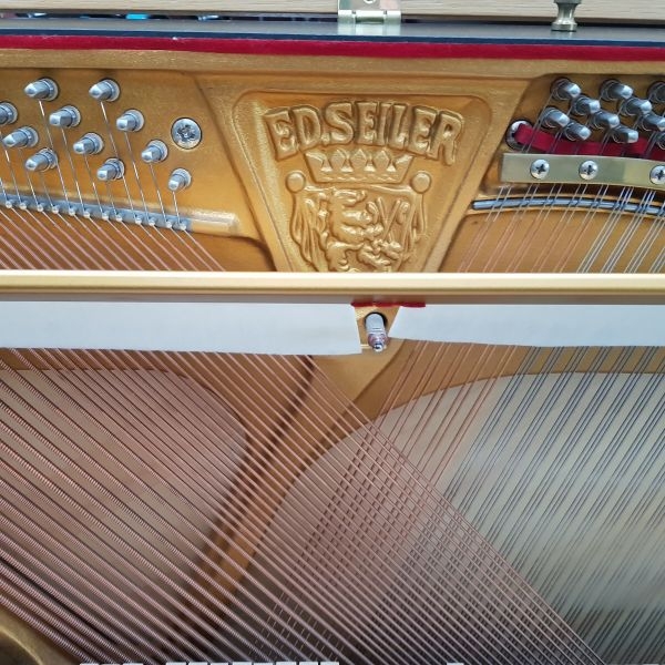 Seiler 116