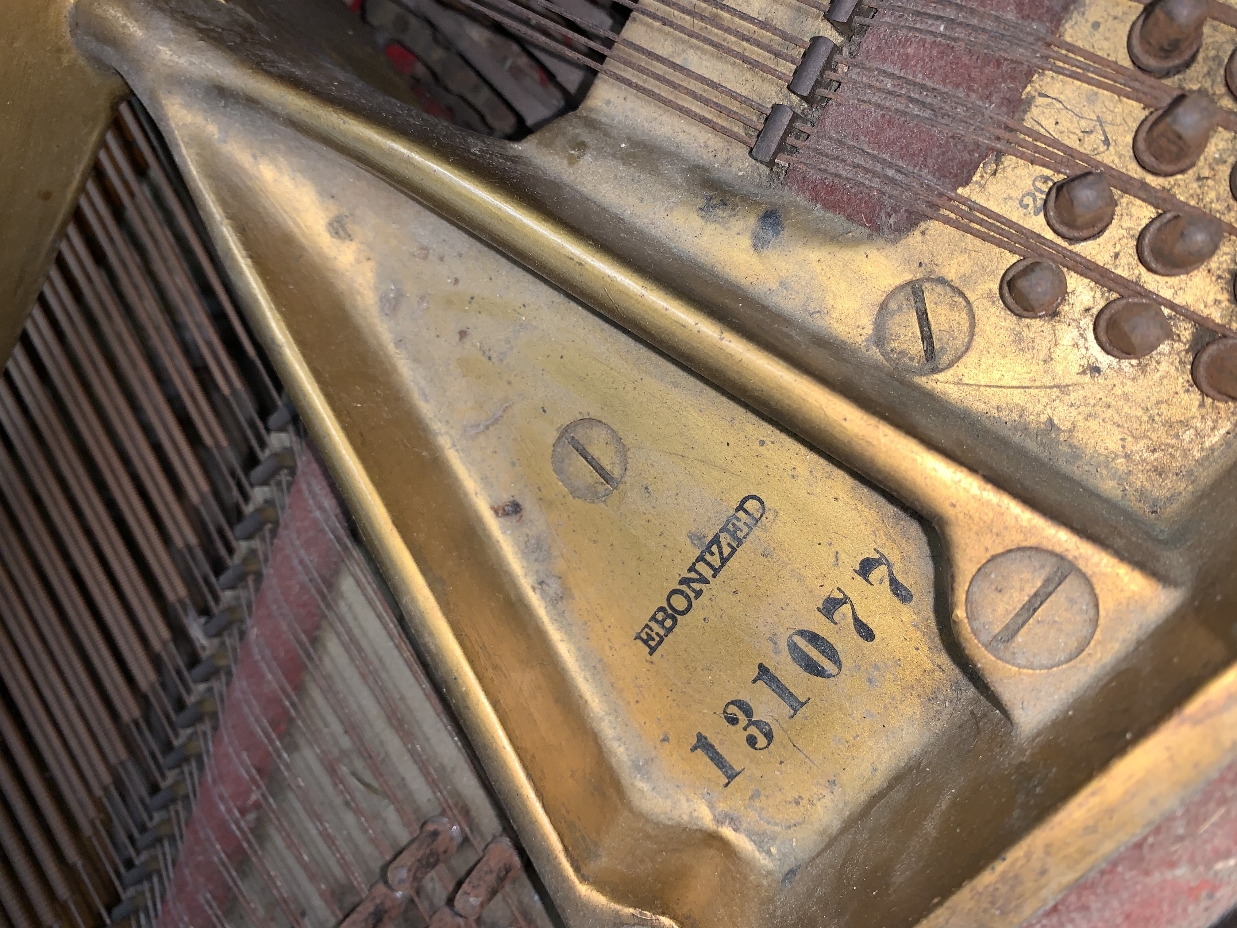 Steinway B