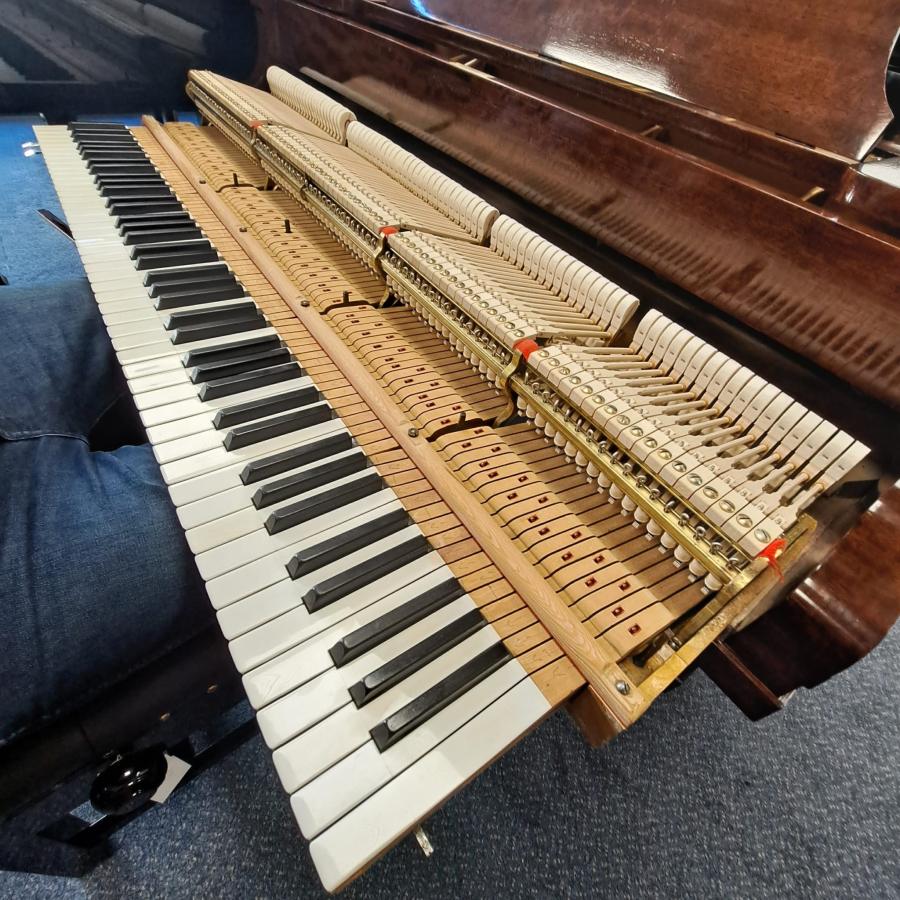 Steinway Model O grand Piano in rosewood – Gallery image – Roberts Pianos Oxford