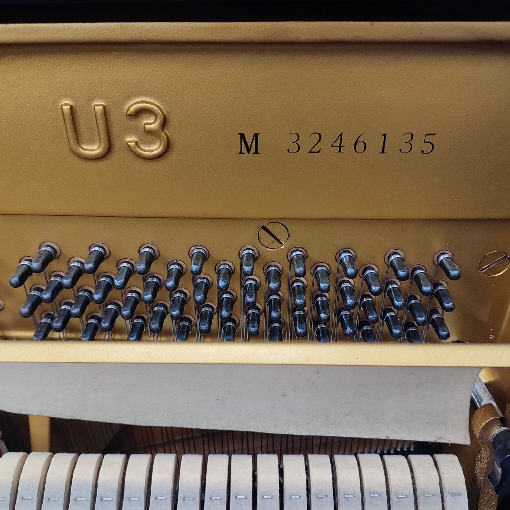 Yamaha U3M