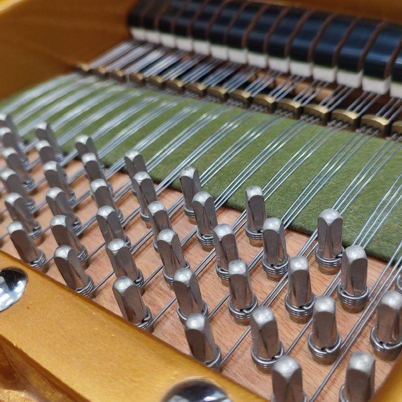 Bechstein V grand Piano in burr walnut – Gallery image – Roberts Pianos Oxford