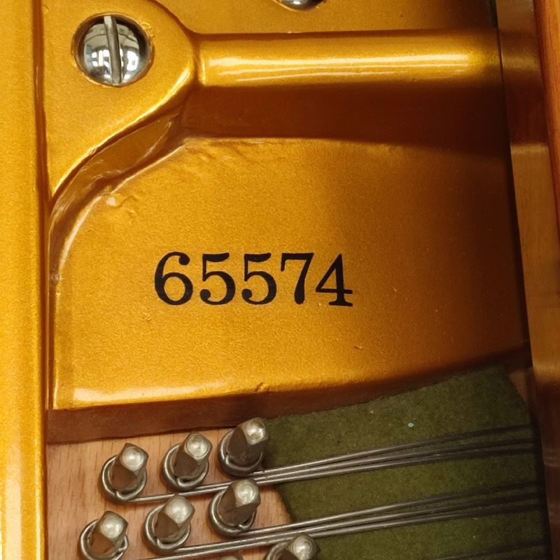 Bechstein V