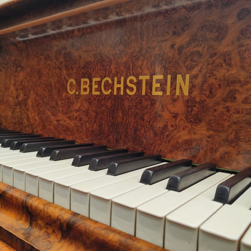 Bechstein V